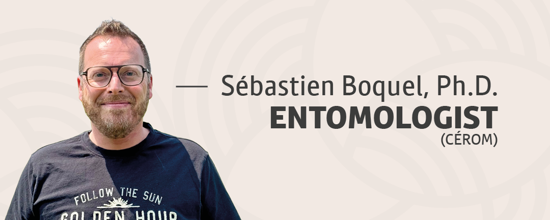 Sébastien Boquel, chercheur en entomologie